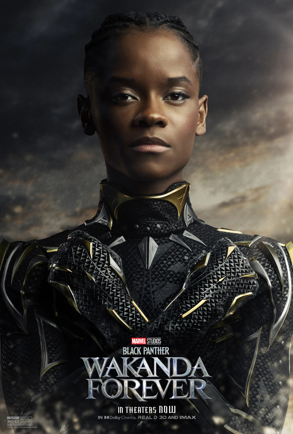 Extra Large Movie Poster Image for Black Panther: Wakanda Forever (#29 of 32)