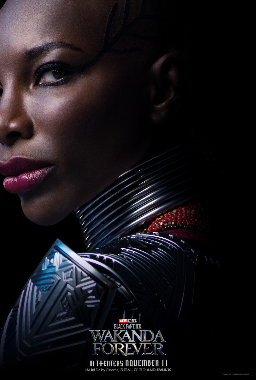 Extra Large Movie Poster Image for Black Panther: Wakanda Forever (#8 of 32)