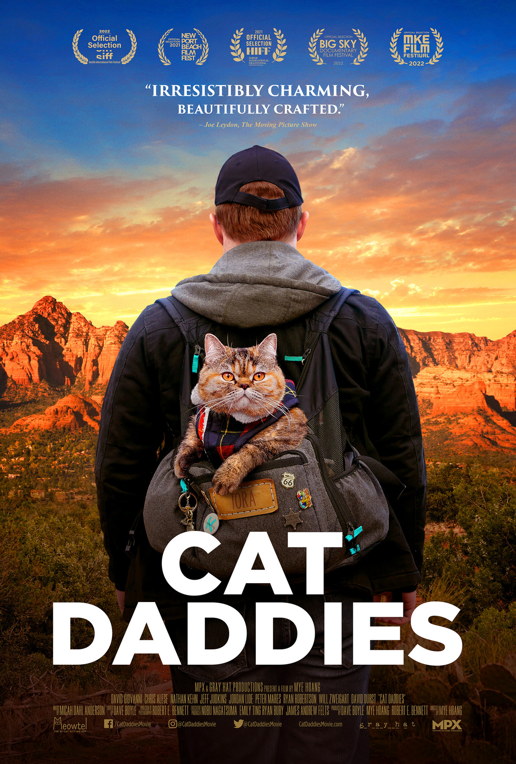 Extra Large Movie Poster Image for Cat Daddies 