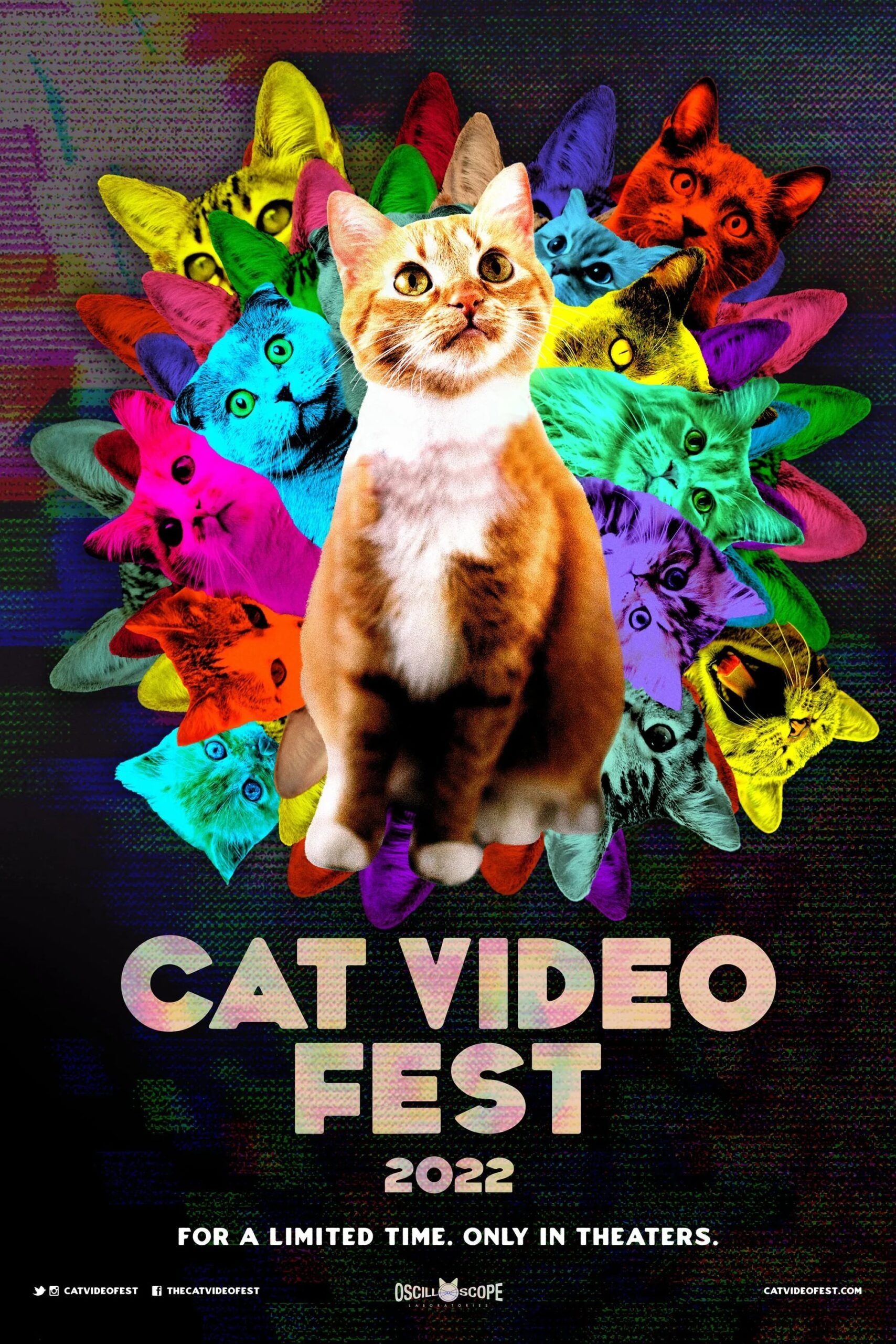 Mega Sized Movie Poster Image for CatVideoFest 2022 