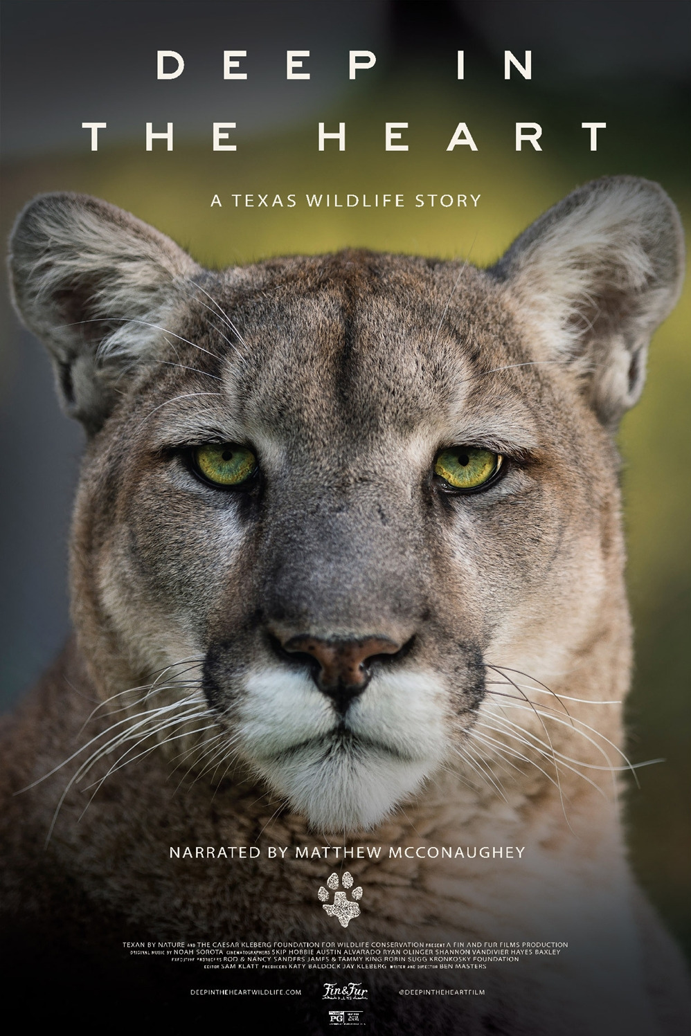 Extra Large Movie Poster Image for Deep in the Heart: A Texas Wildlife Story 