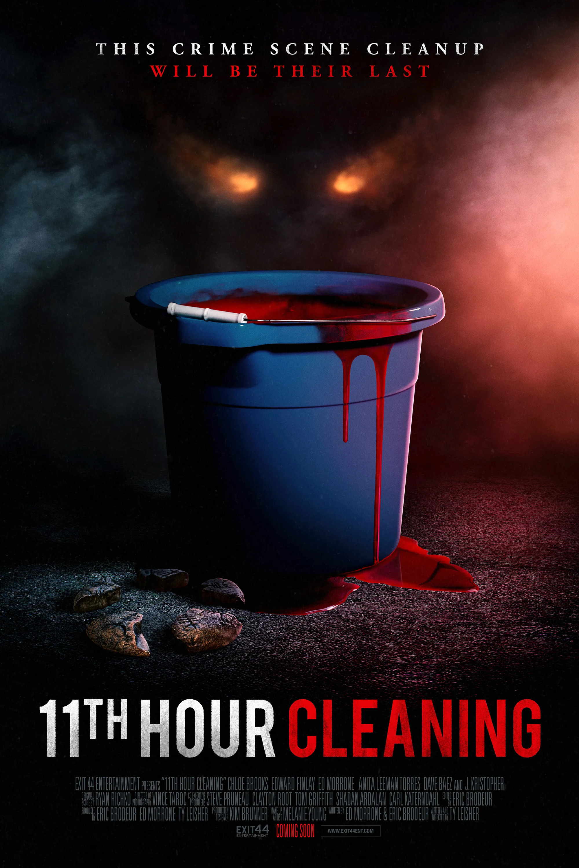 Mega Sized Movie Poster Image for 11th Hour Cleaning 