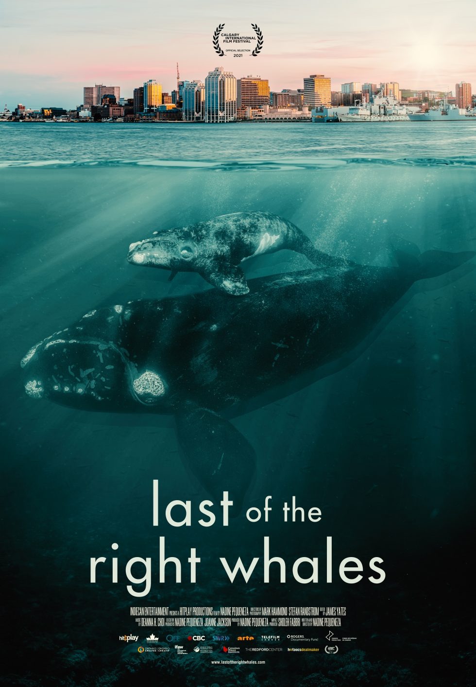 Extra Large Movie Poster Image for Last of the Right Whales 