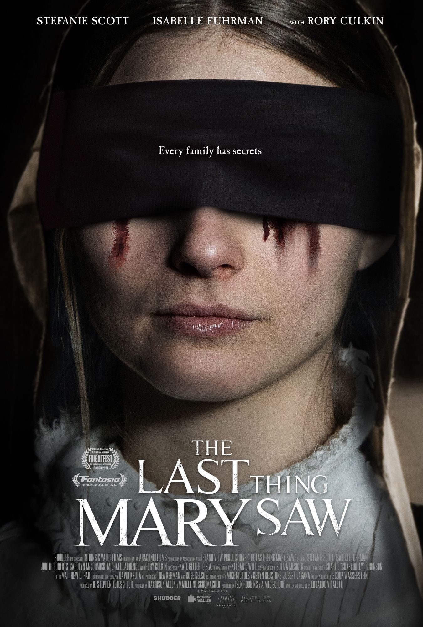 Mega Sized Movie Poster Image for The Last Thing Mary Saw 