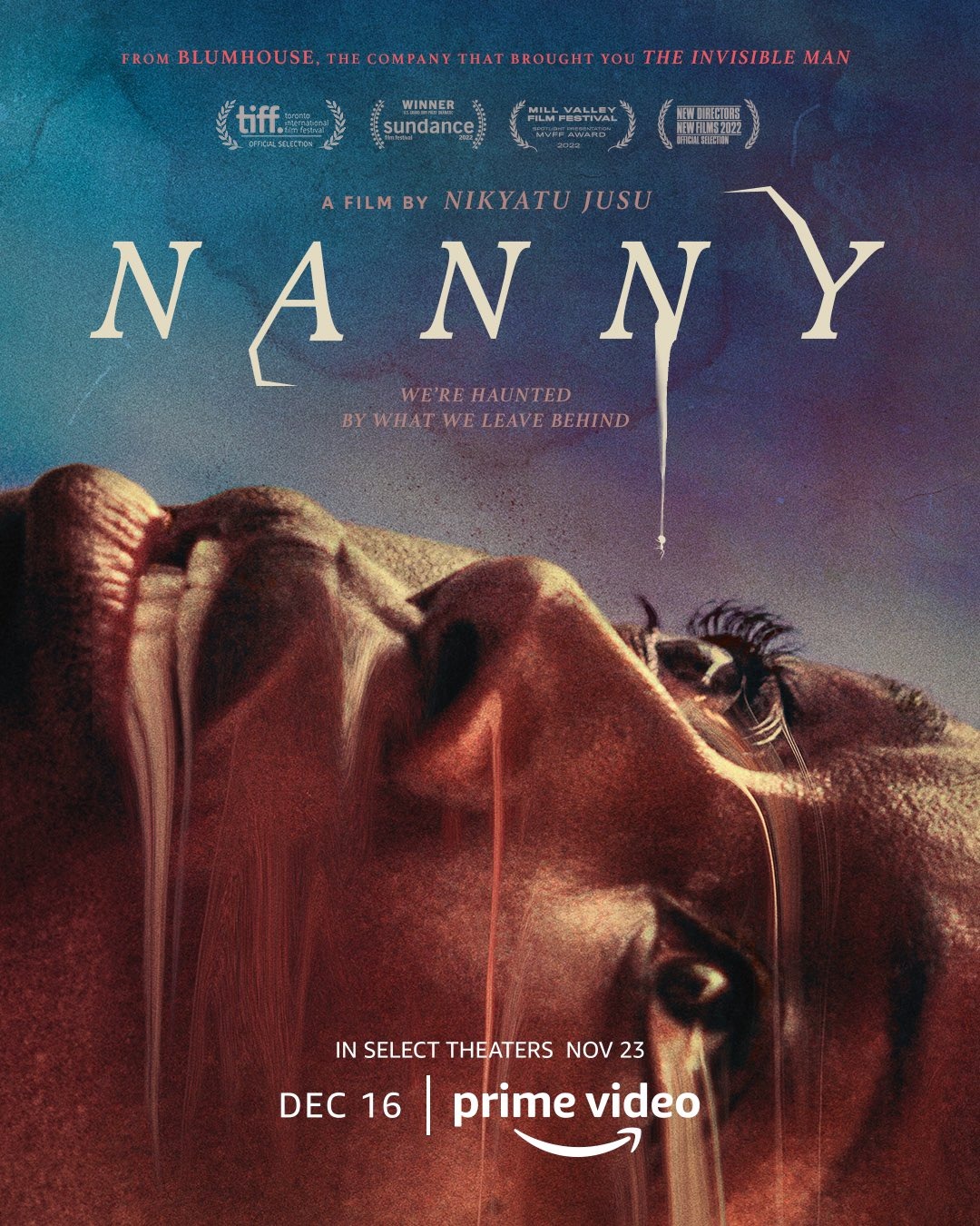 Extra Large Movie Poster Image for Nanny 