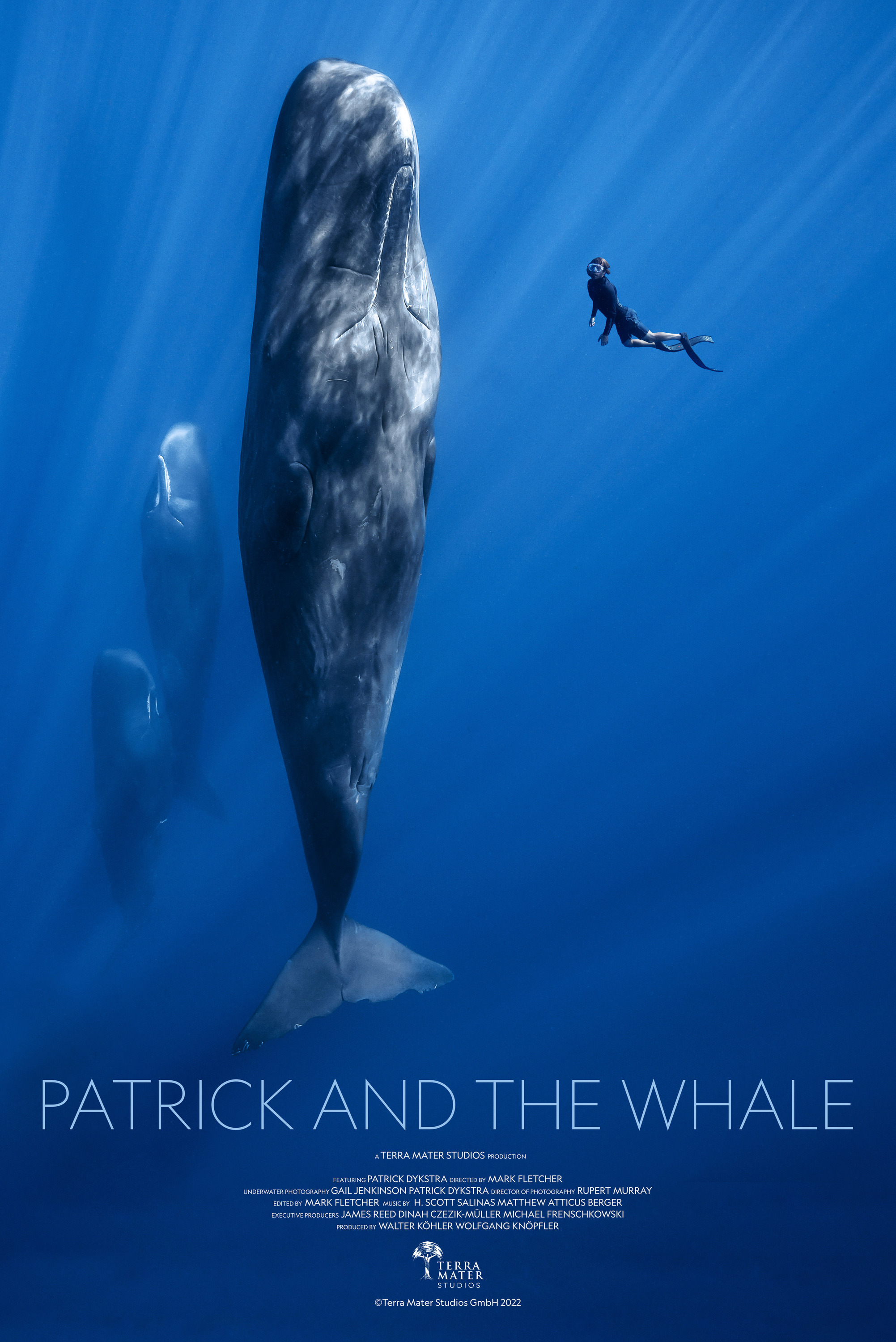 Mega Sized Movie Poster Image for Patrick and the Whale 