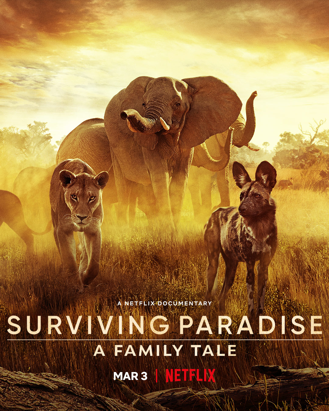 Extra Large Movie Poster Image for Surviving Paradise: A Family Tale 