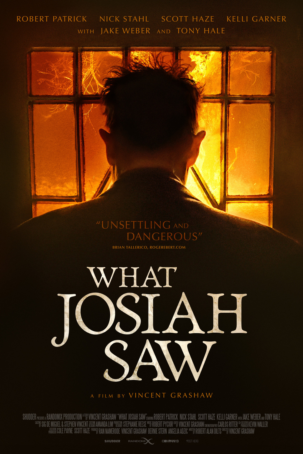 Extra Large Movie Poster Image for What Josiah Saw 