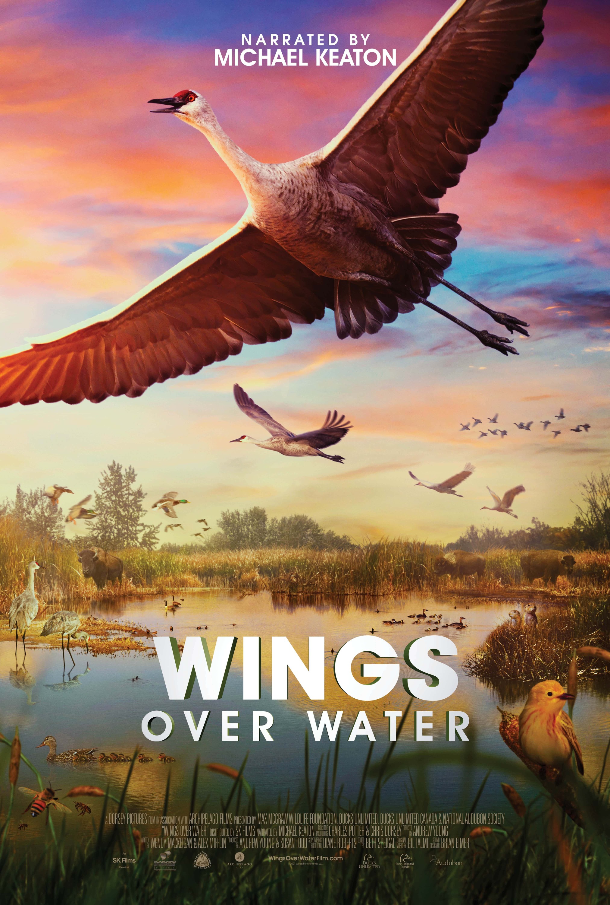 Wings Over Water (1 of 2) Mega Sized Movie Poster Image IMP Awards