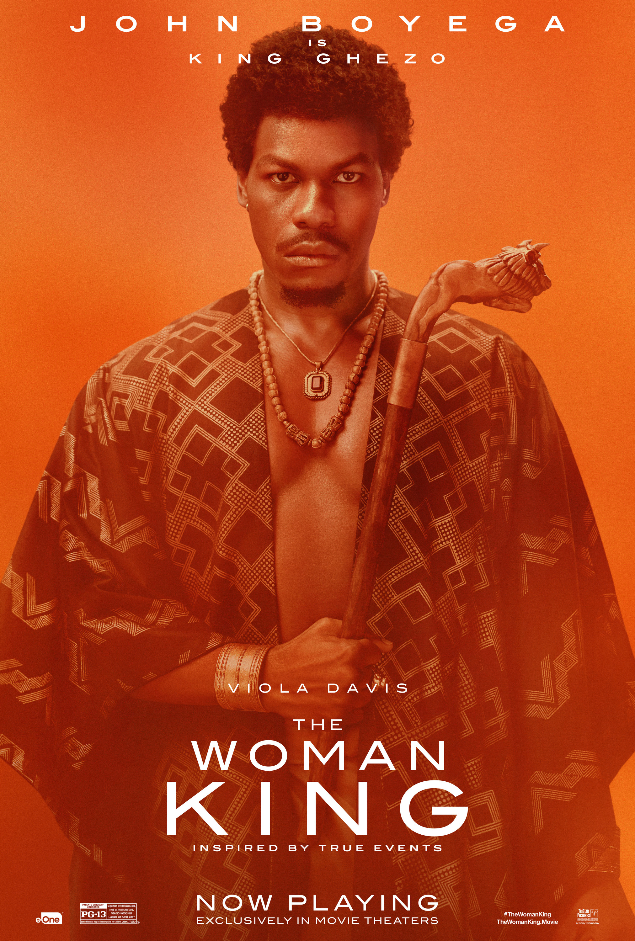 Mega Sized Movie Poster Image for The Woman King (#10 of 15)