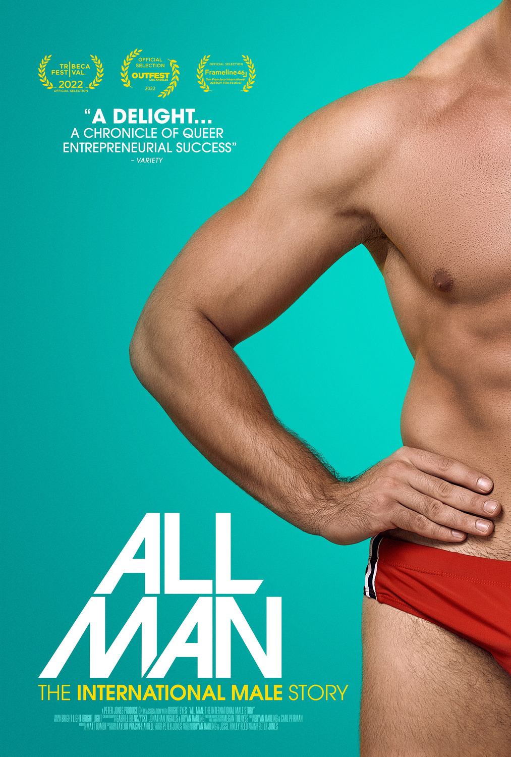Extra Large Movie Poster Image for All Man: The International Male Story 