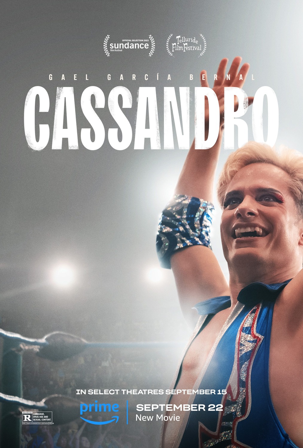 Extra Large Movie Poster Image for Cassandro (#3 of 3)
