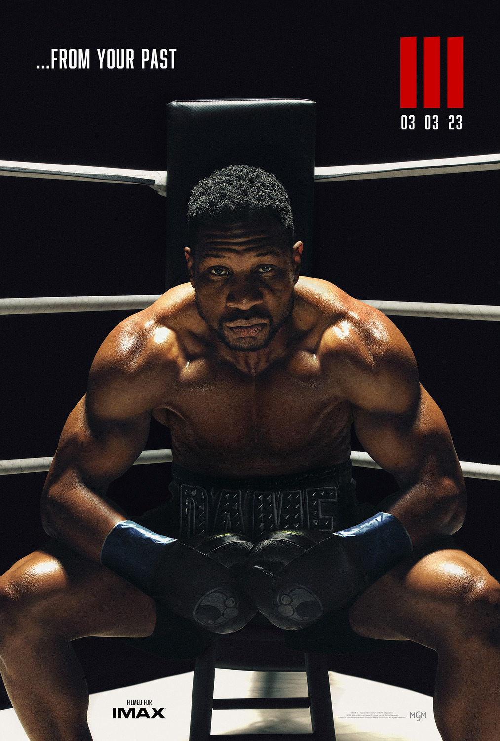 Extra Large Movie Poster Image for Creed III (#2 of 11)