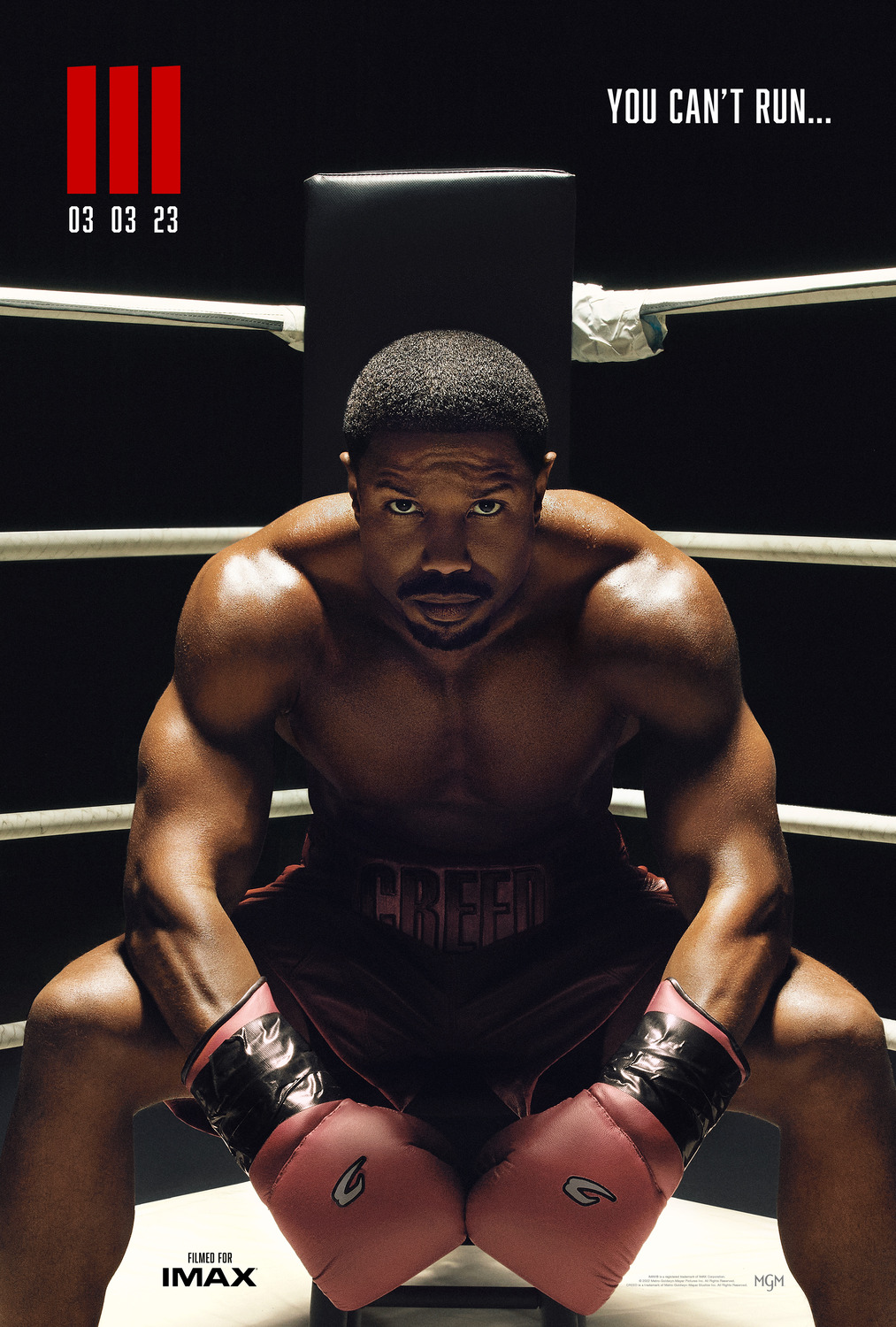 Extra Large Movie Poster Image for Creed III (#1 of 11)