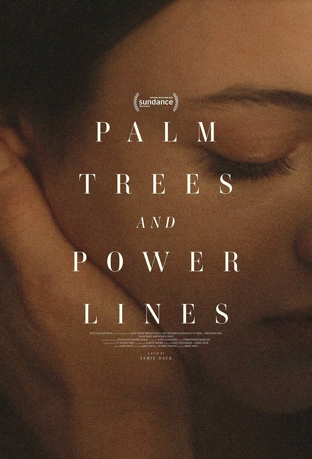 Extra Large Movie Poster Image for Palm Trees and Power Lines (#1 of 2)