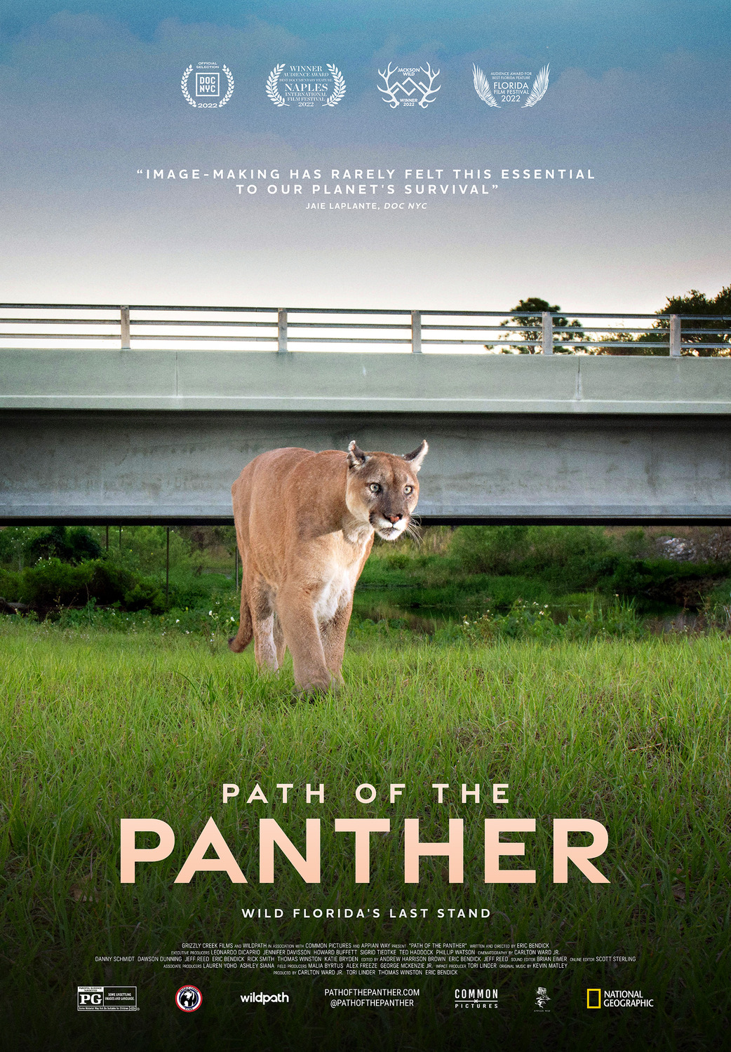 Extra Large Movie Poster Image for Path of the Panther 