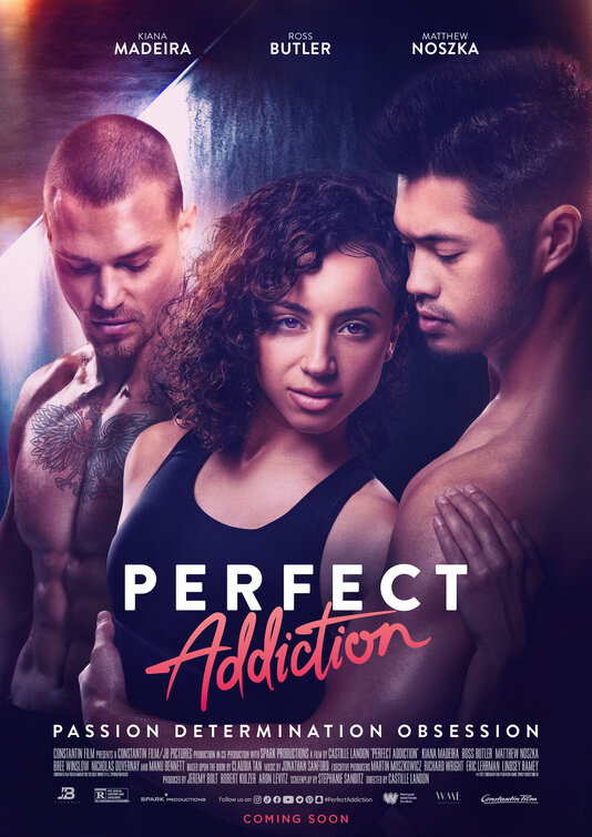Perfect Addiction Movie Poster