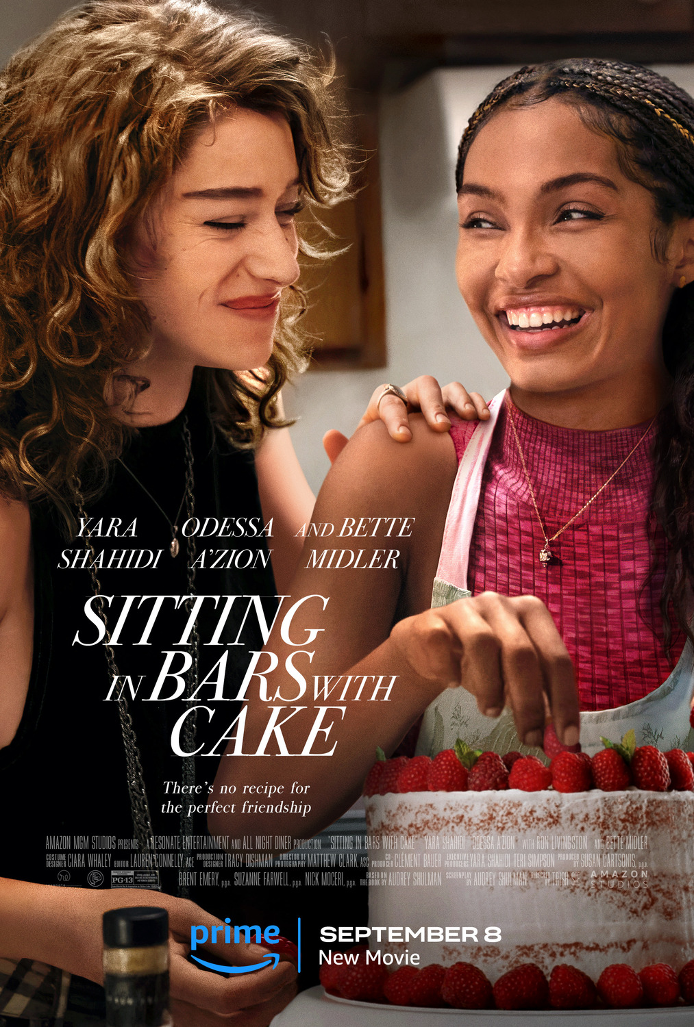 Extra Large Movie Poster Image for Sitting in Bars with Cake 