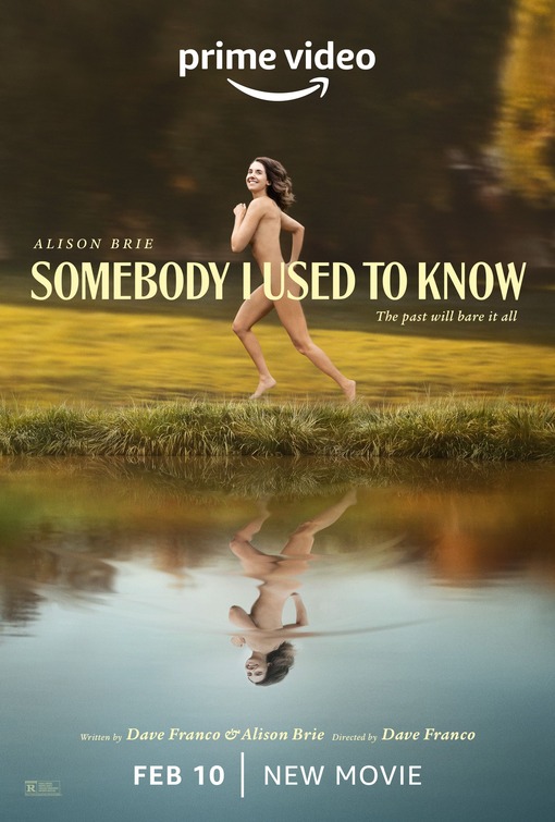 Somebody I Used to Know Movie Poster