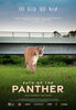 Path of the Panther (2023) Thumbnail