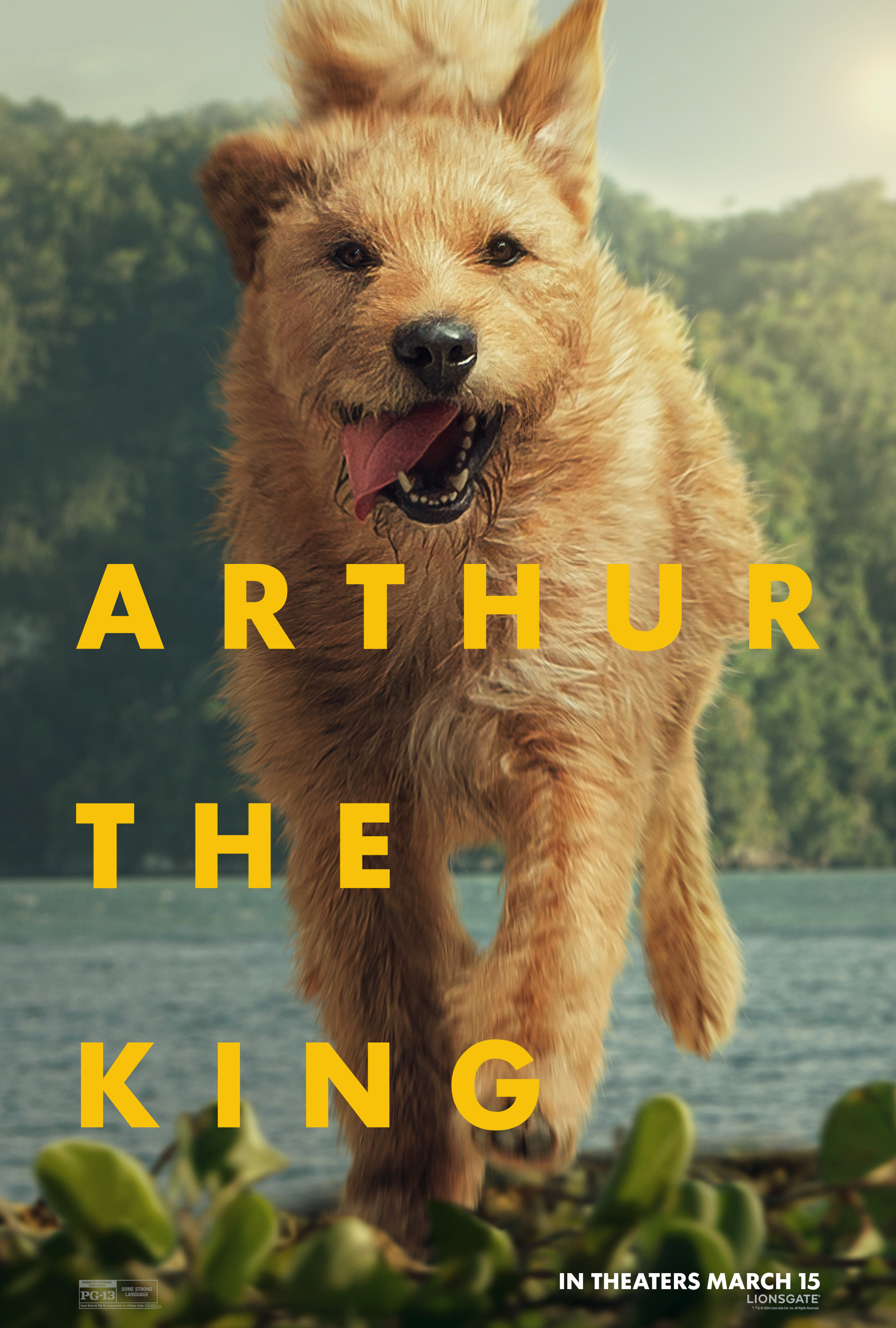 Mega Sized Movie Poster Image for Arthur the King (#6 of 6)