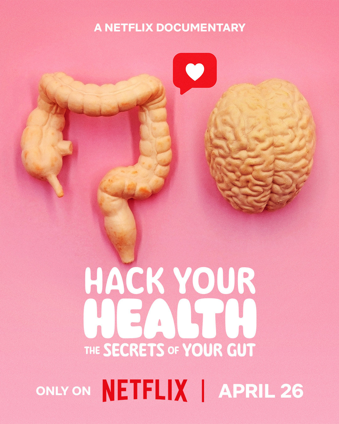 Extra Large Movie Poster Image for Hack Your Health: The Secrets of Your Gut (#2 of 2)