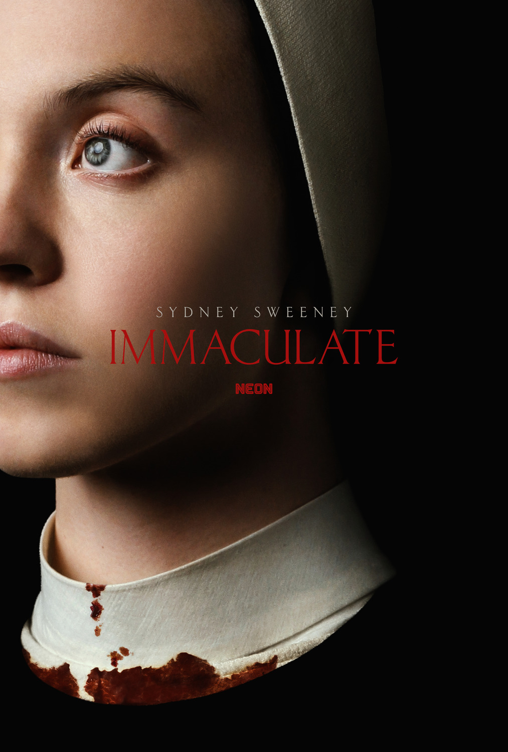 Extra Large Movie Poster Image for Immaculate (#1 of 6)