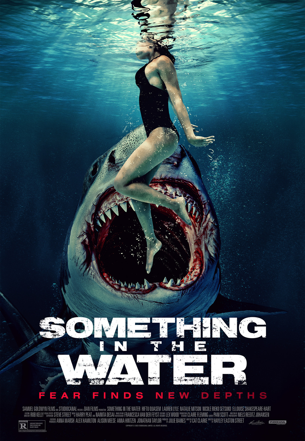 Extra Large Movie Poster Image for Something in the Water (#2 of 2)