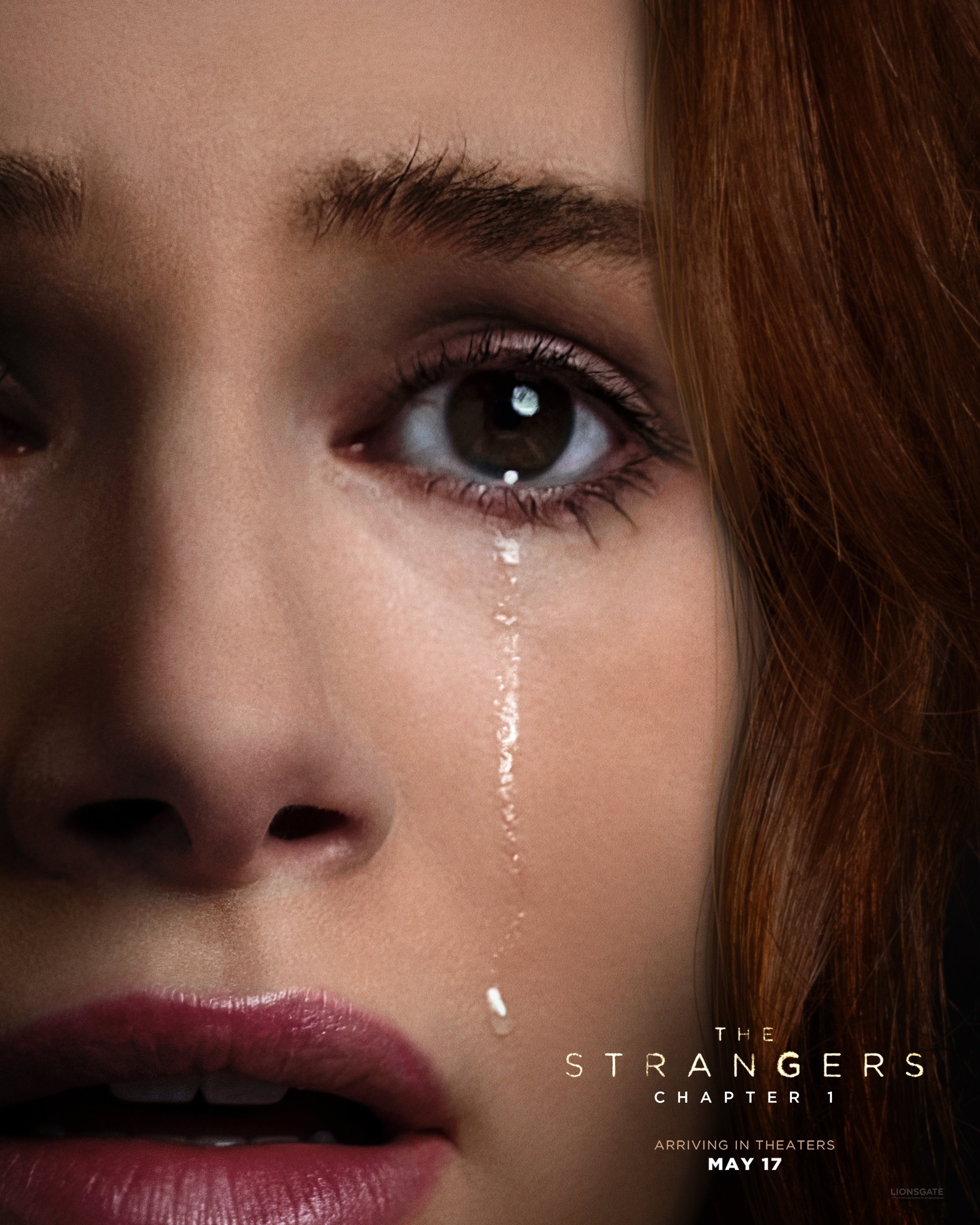 Mega Sized Movie Poster Image for The Strangers: Chapter 1 (#8 of 9)