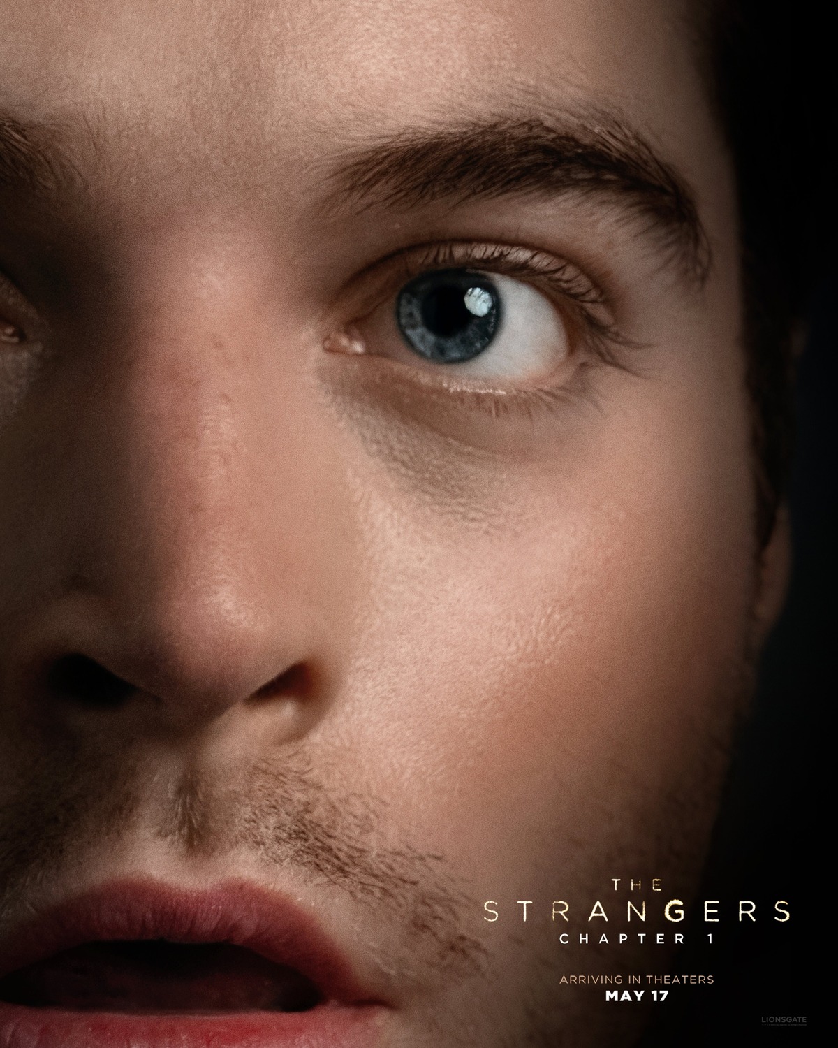Extra Large Movie Poster Image for The Strangers: Chapter 1 (#9 of 9)