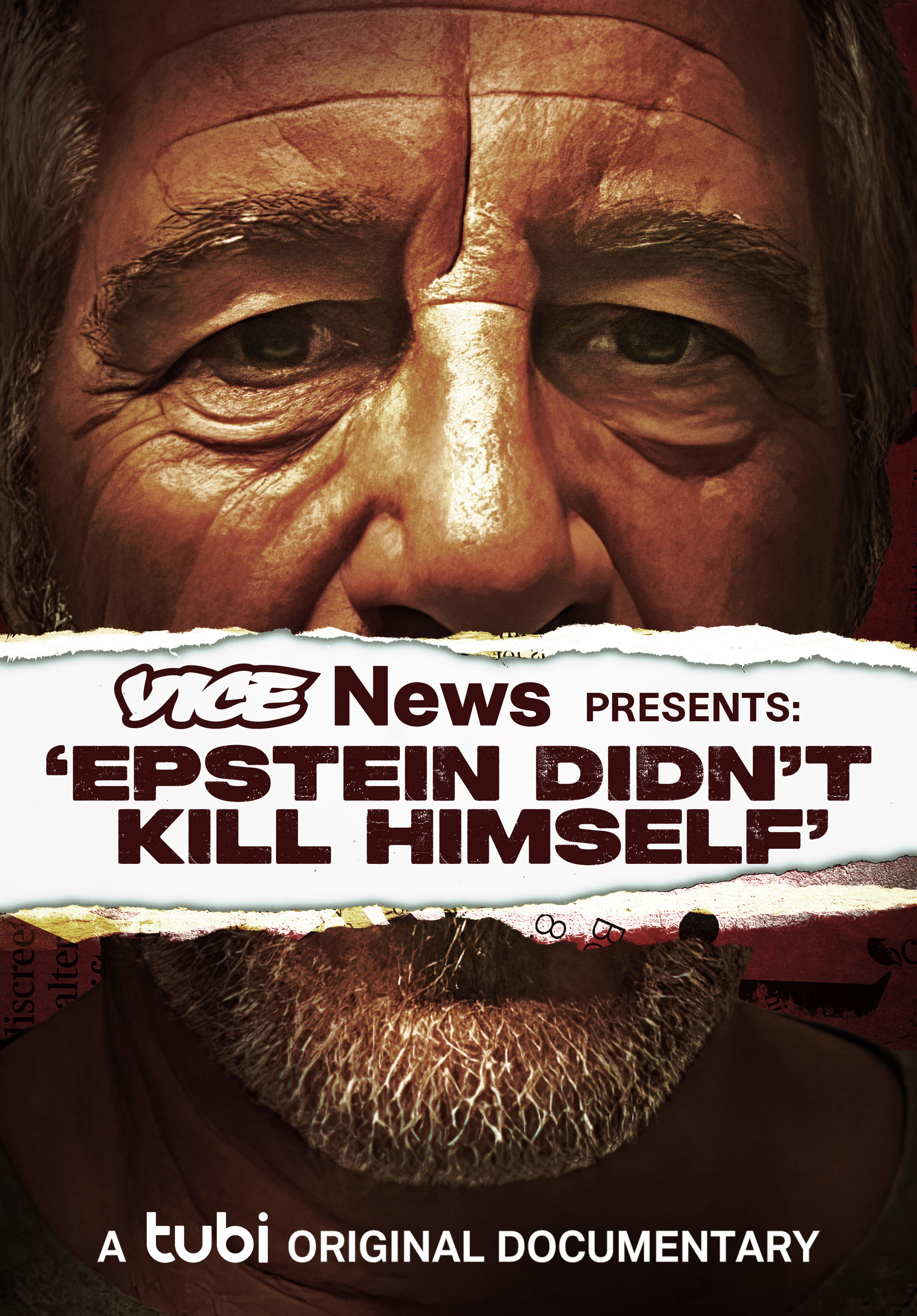 Mega Sized Movie Poster Image for VICE News Presents: Epstein Didn't Kill Himself (#1 of 2)