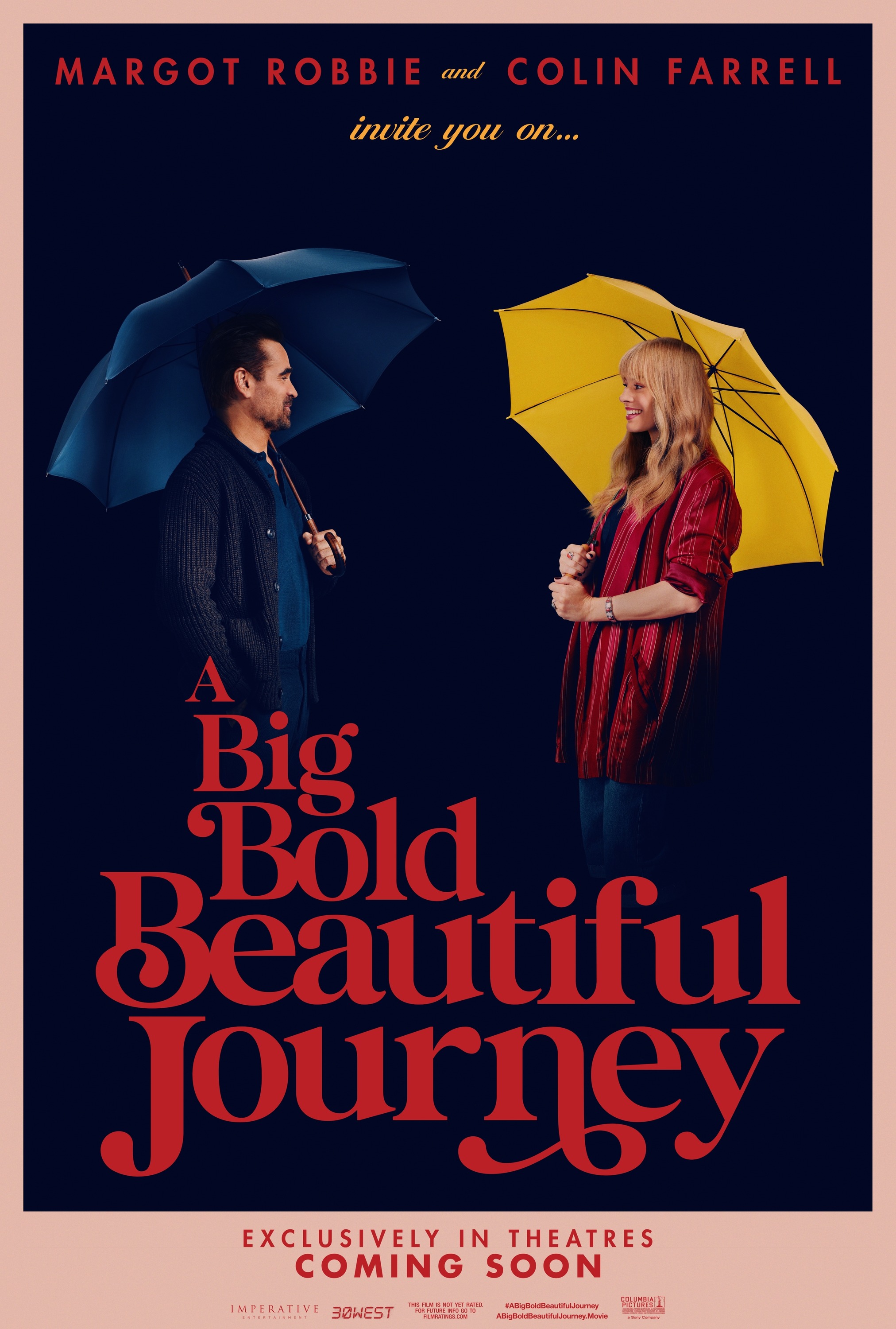 Mega Sized Movie Poster Image for A Big Bold Beautiful Journey (#1 of 3)