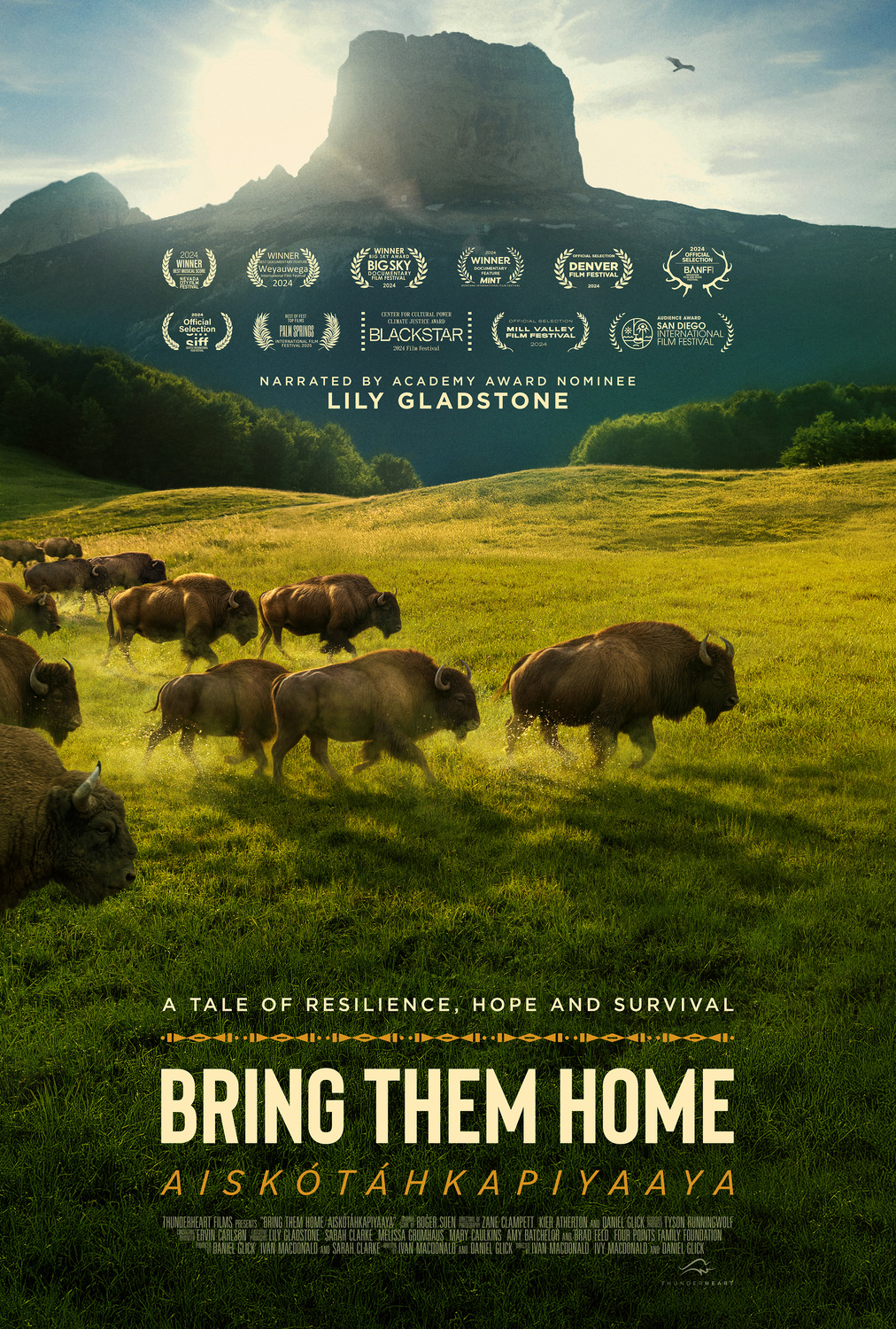 Extra Large Movie Poster Image for Buffalo Stone 