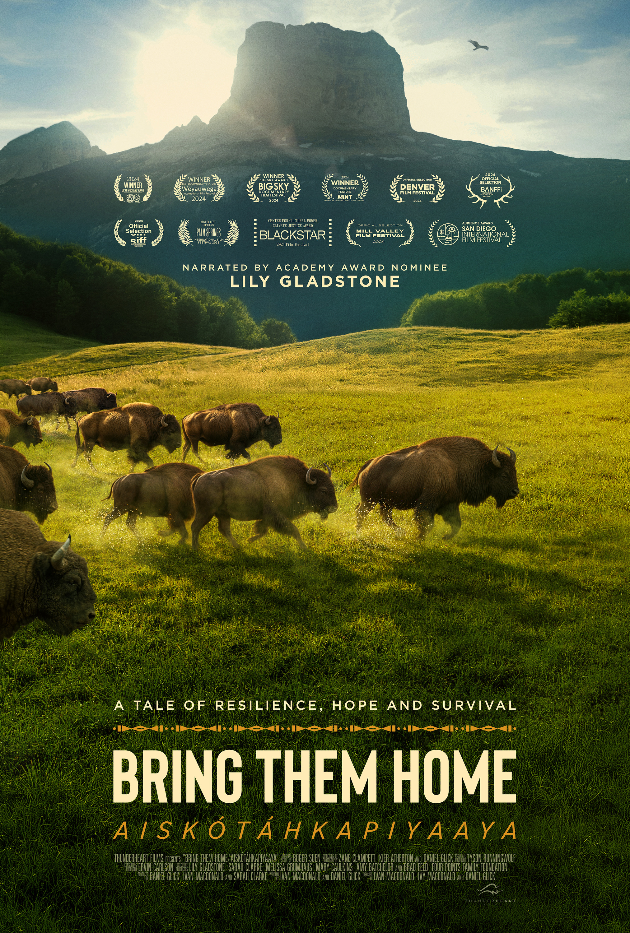 Mega Sized Movie Poster Image for Buffalo Stone 