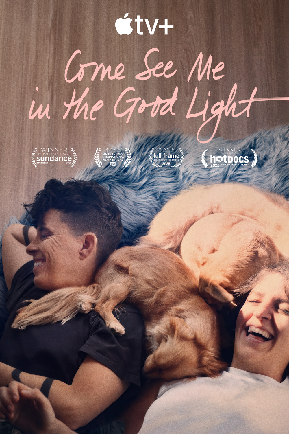 Extra Large Movie Poster Image for Come See Me in the Good Light 