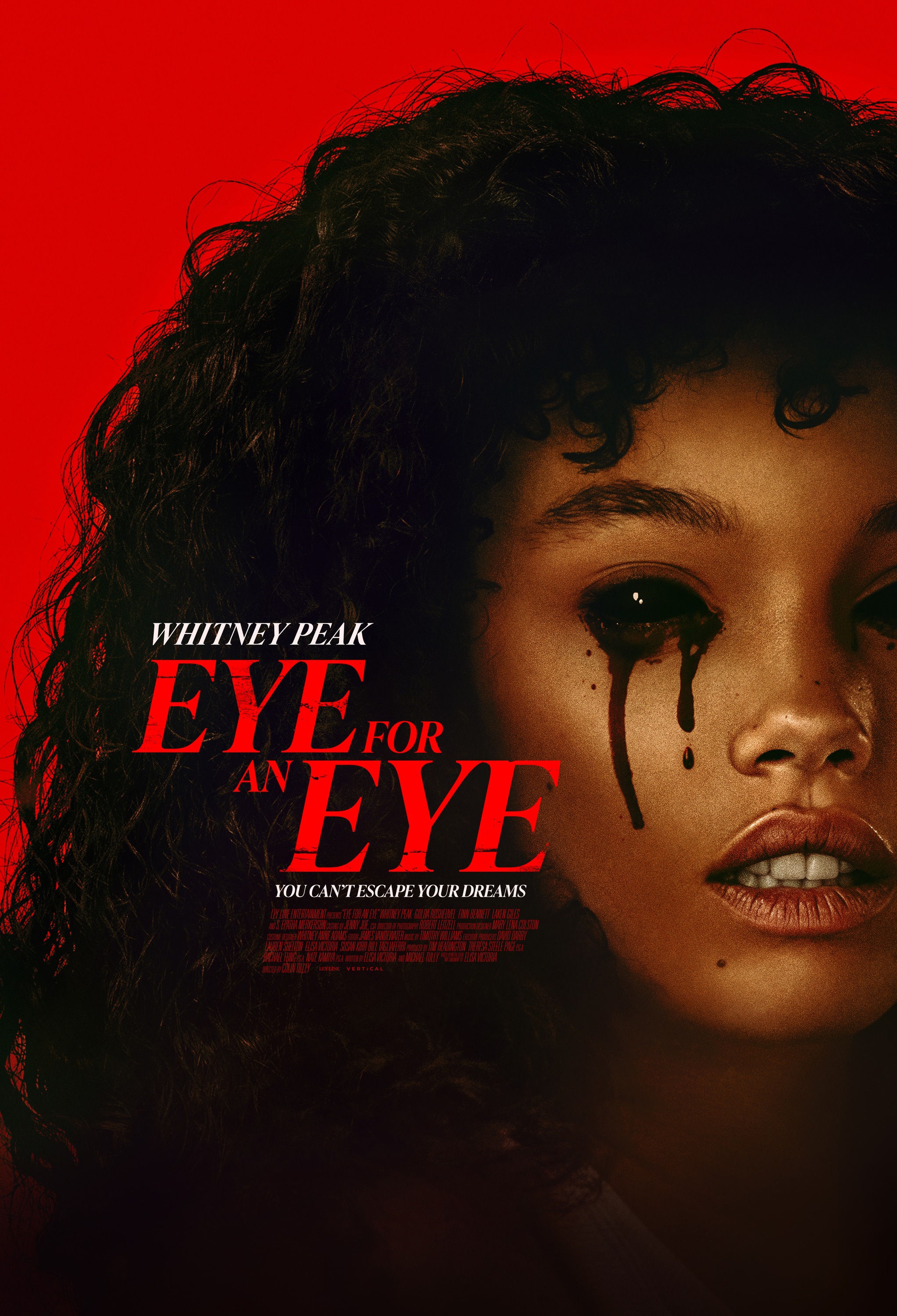 Mega Sized Movie Poster Image for Eye for an Eye 