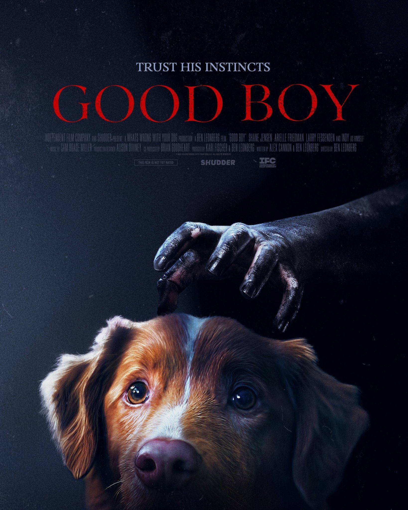 Mega Sized Movie Poster Image for Good Boy (#2 of 2)