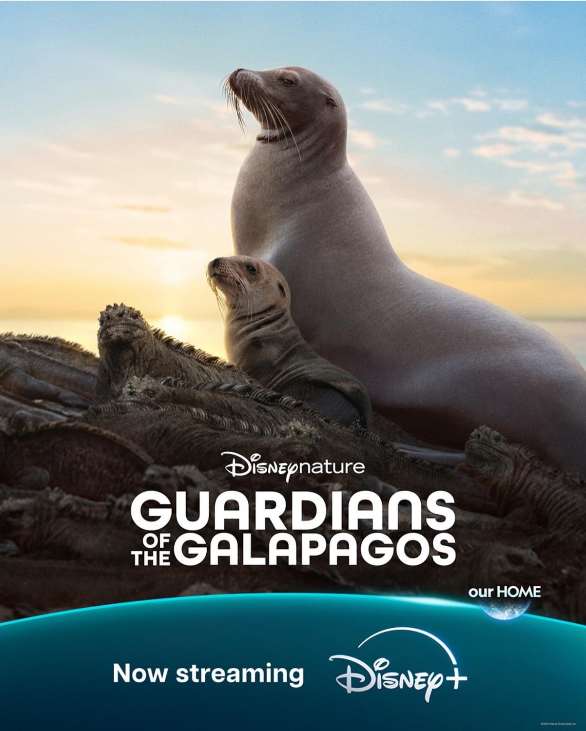 Extra Large Movie Poster Image for Guardians of the Galapagos 