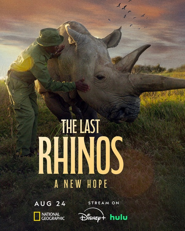 The Last Rhinos: A New Hope Movie Poster