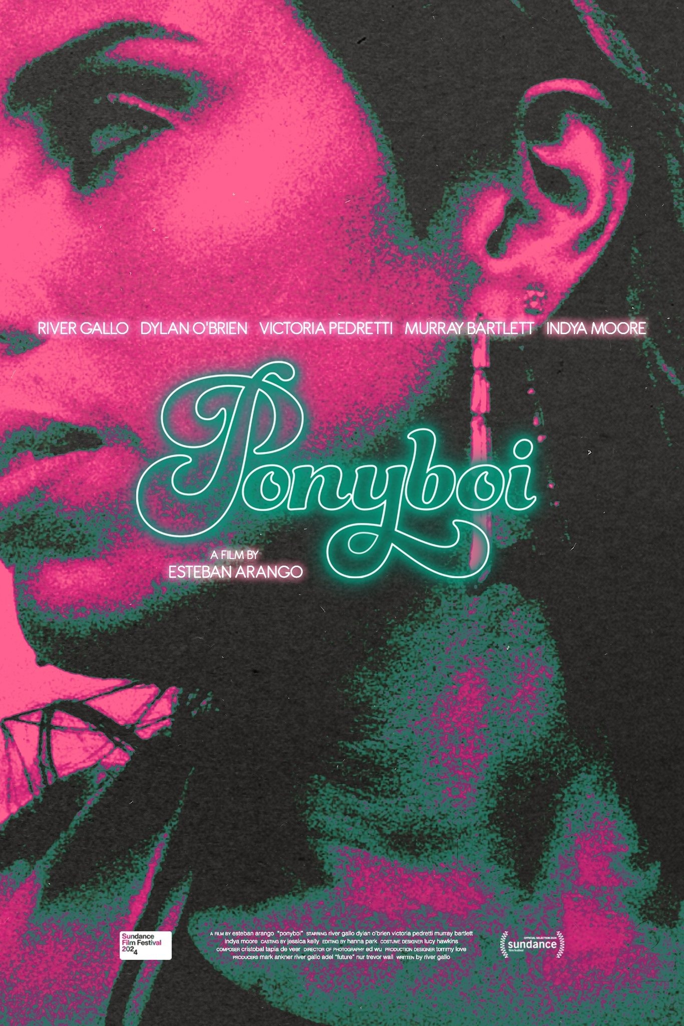 Mega Sized Movie Poster Image for Ponyboi 