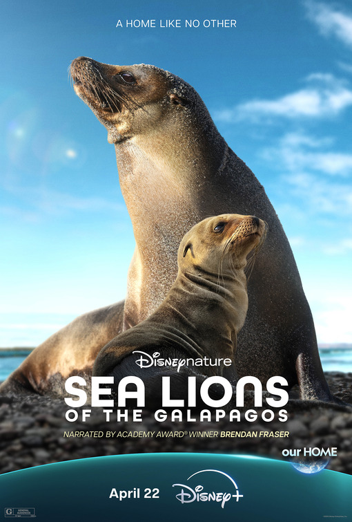 Sea Lions of the Galapagos Movie Poster