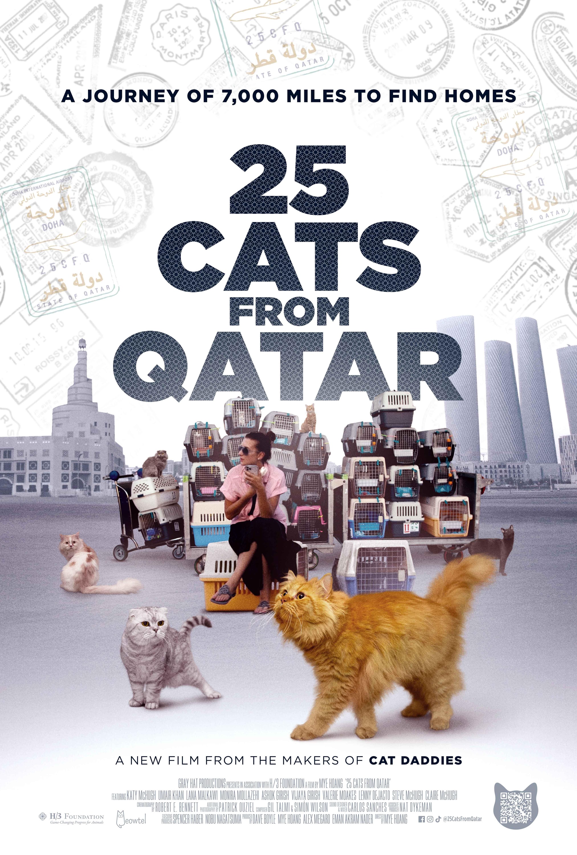 Mega Sized Movie Poster Image for 25 Cats from Qatar (#2 of 2)