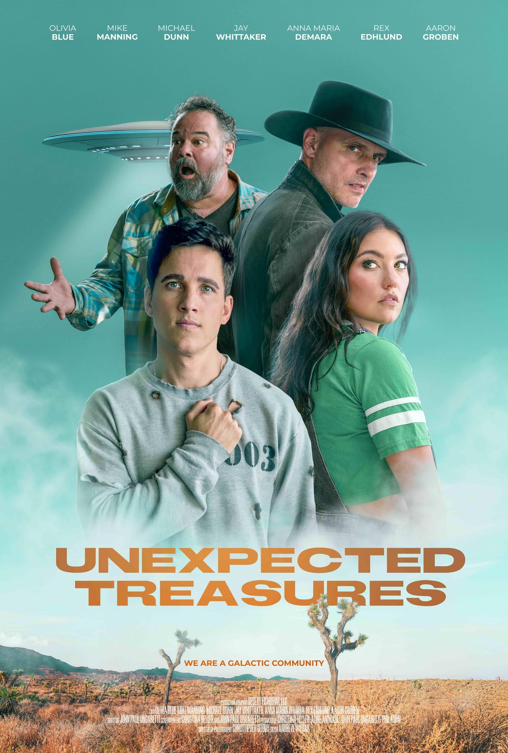 Extra Large Movie Poster Image for Unexpected Treasures 