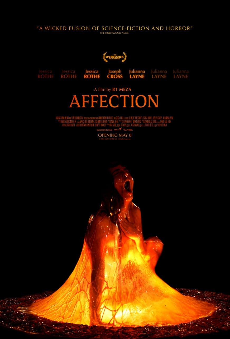 Extra Large Movie Poster Image for Affection 