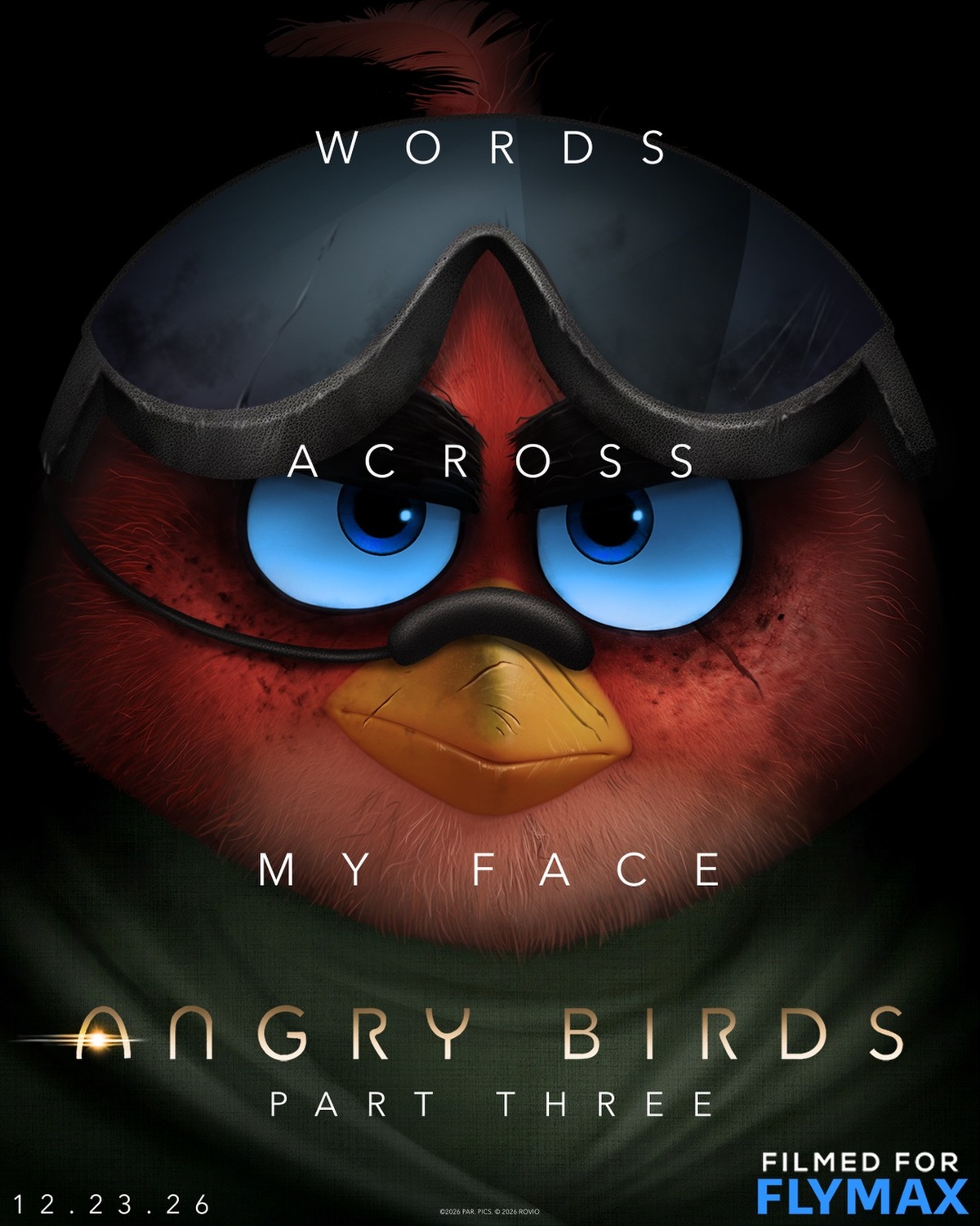 Extra Large Movie Poster Image for The Angry Birds Movie 3 (#3 of 3)