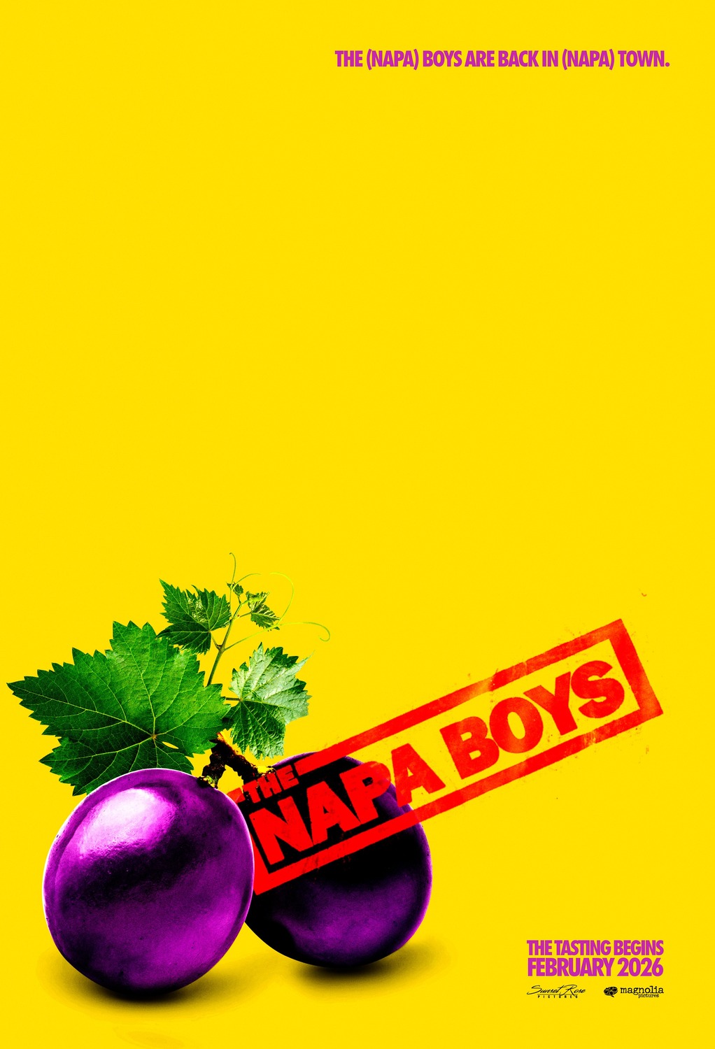 Extra Large Movie Poster Image for The Napa Boys 