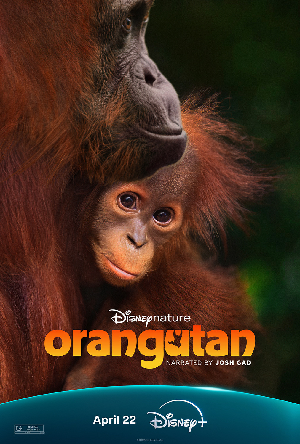 Extra Large Movie Poster Image for Orangutan 