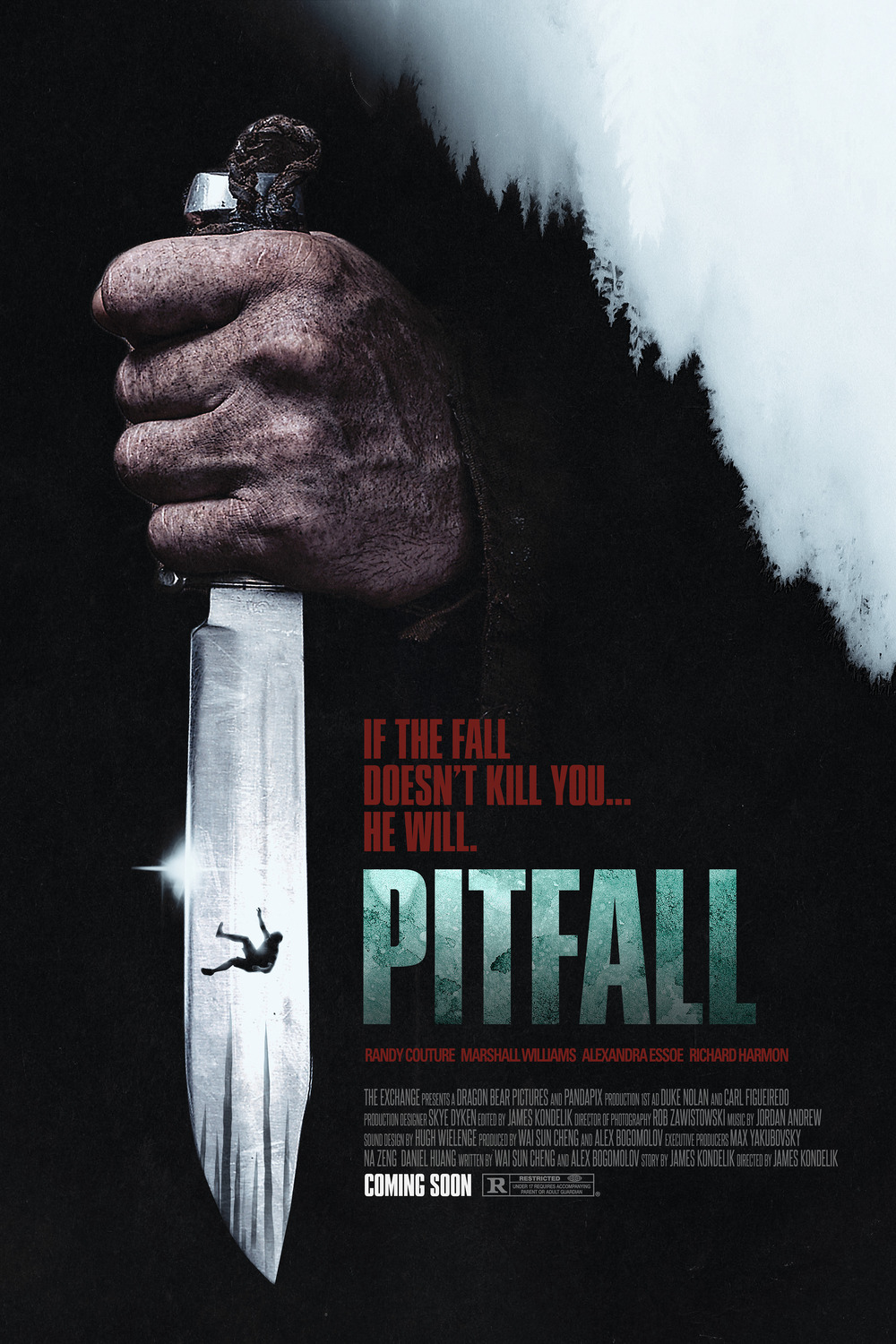 Extra Large Movie Poster Image for Pitfall 