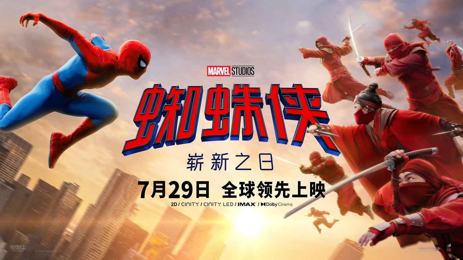 Extra Large Movie Poster Image for Spider-Man: Brand New Day (#17 of 18)