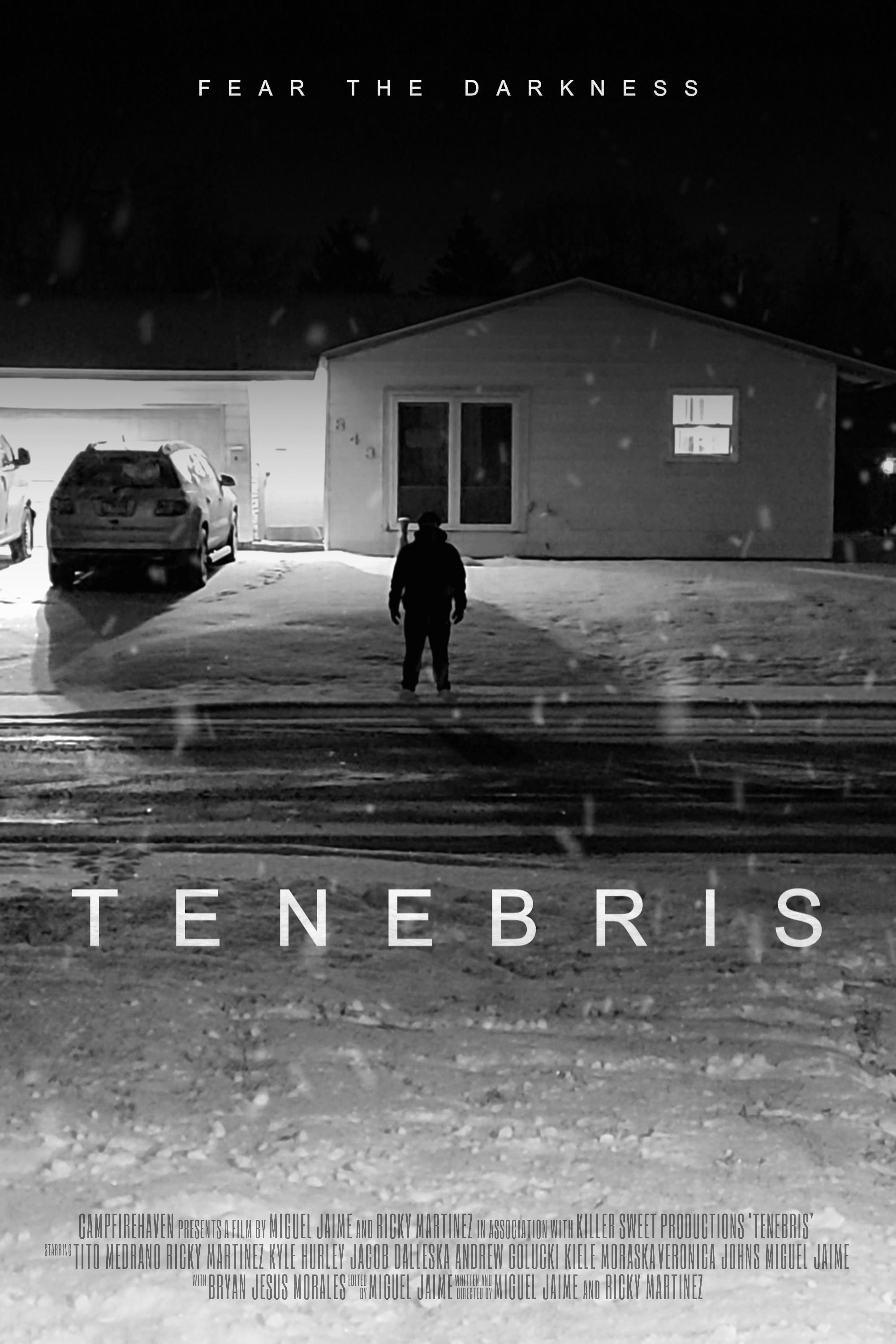 Mega Sized Movie Poster Image for Tenebris 